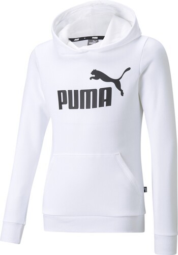 PUMA-X_ESS Logo Hoodie TR G-image-1