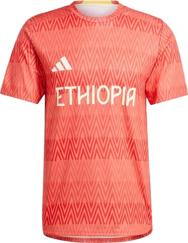adidas Performance-T-shirt de training Équipe d'Éthiopie HEAT.RDY-image-1