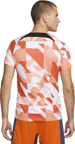 NIKE-Fc Inter Maglia Academy Pro Third-1