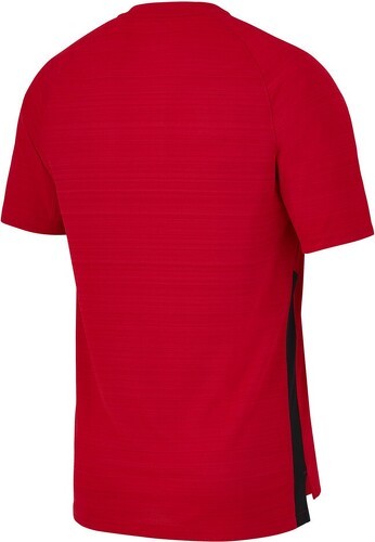 NIKE-T-Shirt training RC Toulon 2023/2024-1