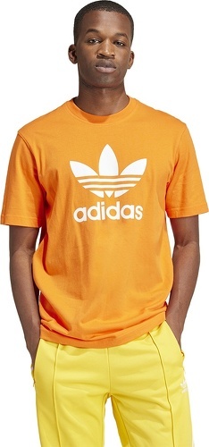 adidas Performance-T-shirt Trèfle Adicolor-1