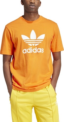 adidas Performance-T-shirt Trèfle Adicolor-2