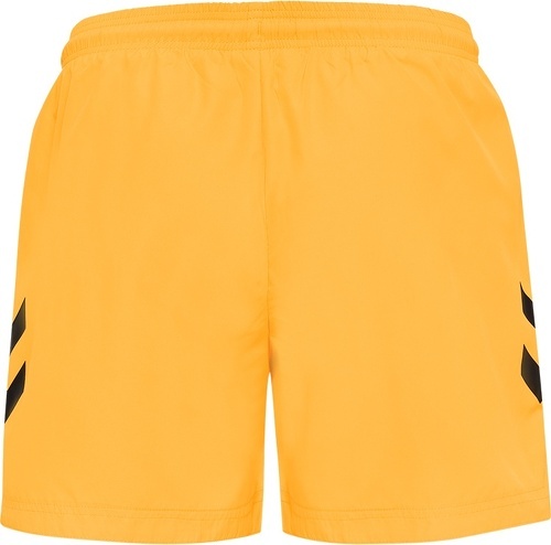 HUMMEL-Short de bain Hummel Ned-1