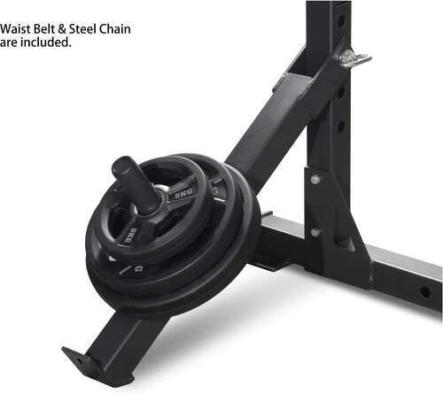 Titanium Strength-Accessoire de Belt Squat pour les Racks de la Série-2