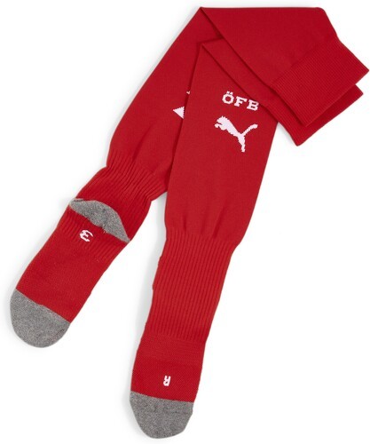 PUMA-Chaussettes de football avec logo de l’équipe d’Autriche-image-1