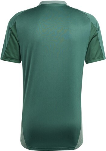 adidas Performance-Maglia Training Algeria 2024/25-1