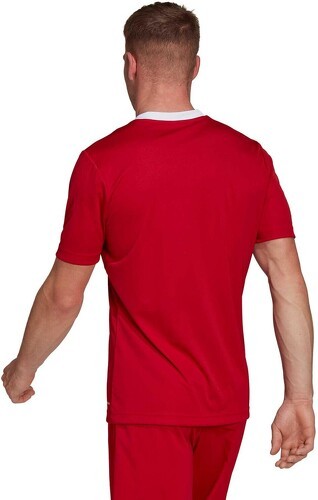 adidas-ADIDAS T-SHIRT ENTRADA 22 JSY ADULTO-1