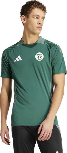 adidas Performance-Maillot d'entraînement Algérie Tiro 24-4