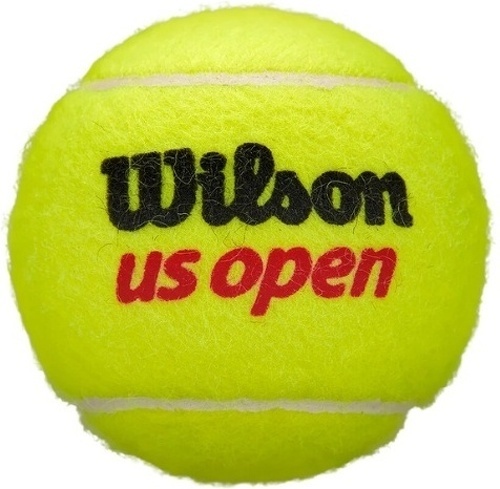 WILSON-Balles de tennis US Open Extra Duty — Boîte de 3 balles-3