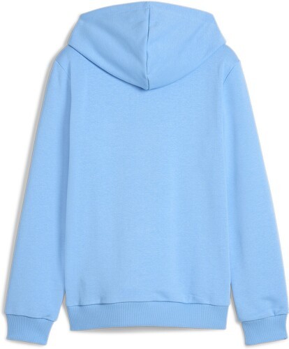 PUMA-Hoodie Ftblculture Manchester City-1