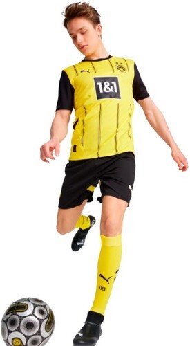 PUMA-Maillot Home 24/25 Borussia Dortmund Homme-1