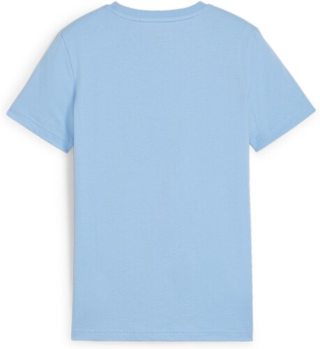 PUMA-T-Shirt Ftblculture Manchester City-1