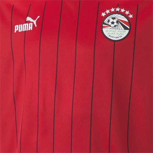 PUMA-Maillot Home Égypte 22/23 Enfant et Adolescent-2