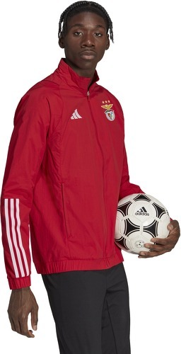 adidas Performance-Veste Benfica Anthem-1