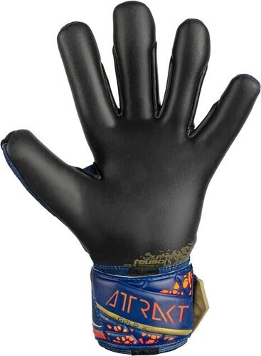 REUSCH-Attrakt X Tw Handschuhe-1