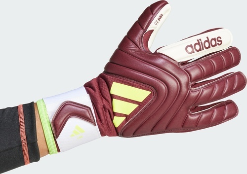 adidas Performance-Gants de gardien Copa League-3