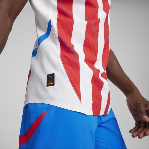 PUMA-Maillot Home Paraguay 2024-4