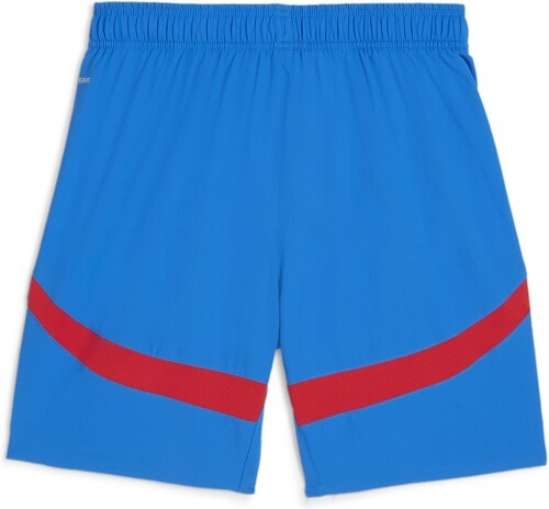 PUMA-Short De Football Paraguay-1