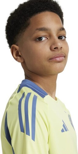 adidas-adidas Enfants Ajax Training 2024-2025-3