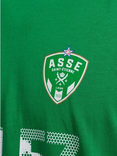 HUMMEL-T-Shirt Asse Fan Allez Les Verts-3