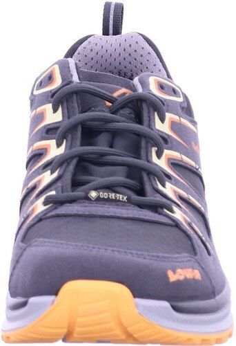 LOWA-Innox Evo Gore-Tex Low-2