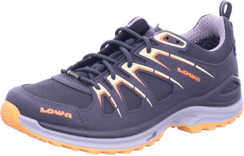 LOWA-Innox Evo Gore-Tex Low-3