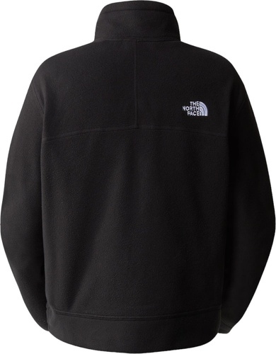 THE NORTH FACE-W 100 GL HALF ZIP-0