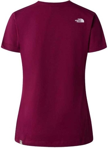 THE NORTH FACE-T Shirt The North Face Easy Tee W-1