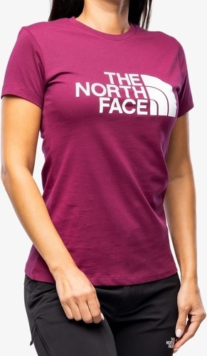 THE NORTH FACE-T Shirt The North Face Easy Tee W-2