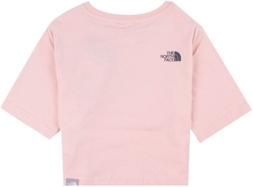 THE NORTH FACE-T Shirt The North Face Ghyè Bnhgg Manches Courtes Cropped Graphic Tee-1