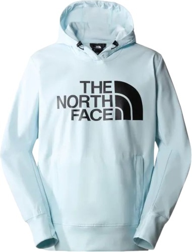 THE NORTH FACE-M TEKNO LOGO HOODIE-0