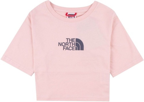 THE NORTH FACE-T Shirt The North Face Ghyè Bnhgg Manches Courtes Cropped Graphic Tee-0