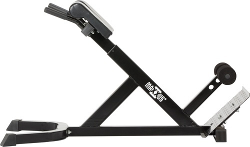 MAXXUS-Maxxus - Poste d'hyperextension-3