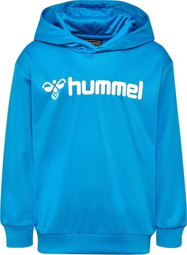 HUMMEL-Hmllogo Hoodie-2