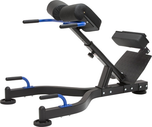 MAXXUS-Poste d'hyperextension PRO MAXXUS-1