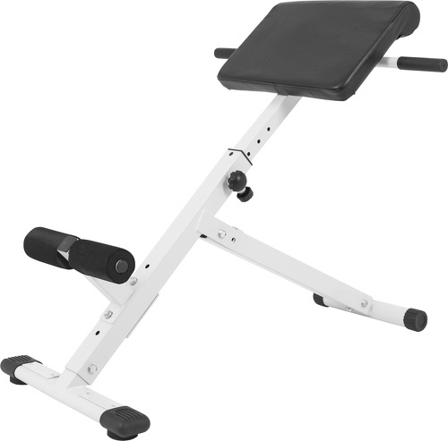 GORILLA SPORTS-Appareil de musculation pliable pour le dos-0