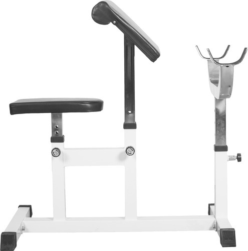 GORILLA SPORTS-Banc de musculation curl pour entrainer les biceps GS007-3