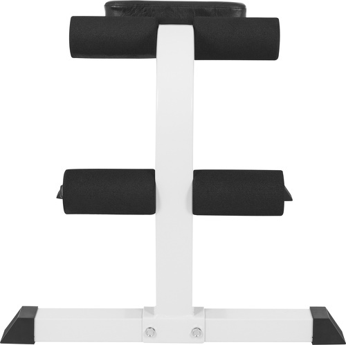 GORILLA SPORTS-Banc de musculation DC / abdominaux décliné fixe-1