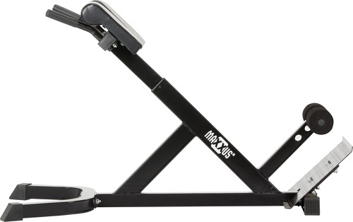 MAXXUS-Maxxus - Poste d'hyperextension-2