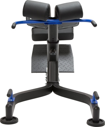 MAXXUS-Poste d'hyperextension PRO MAXXUS-2