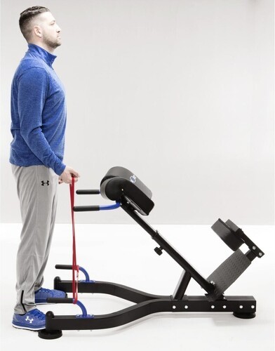 MAXXUS-Poste d'hyperextension PRO MAXXUS-4