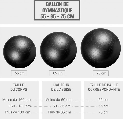 GORILLA SPORTS-Swiss ball-4