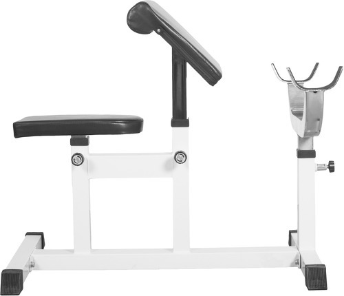 GORILLA SPORTS-Banc de musculation curl pour entrainer les biceps GS007-4