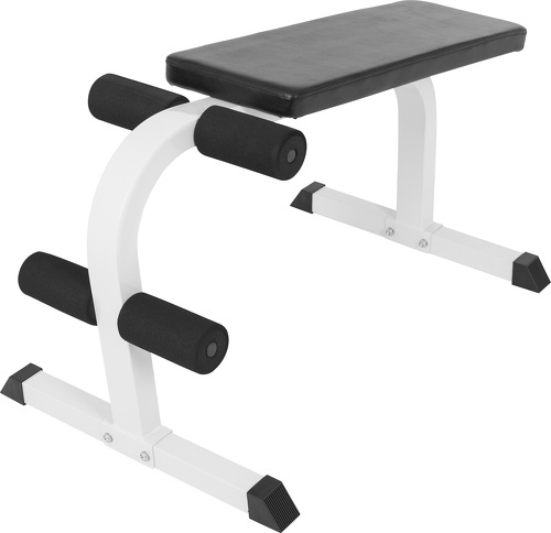 GORILLA SPORTS-Banc de musculation DC / abdominaux décliné fixe-2