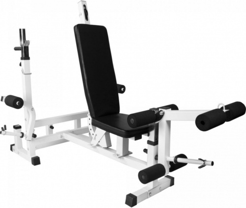 GORILLA SPORTS-Banc de musculation universel avec support pour haltères et set d'haltéres en caoutchouc de 105,5kg-2