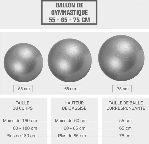 GORILLA SPORTS-Swiss ball-4