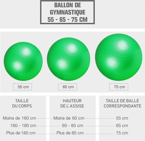 GORILLA SPORTS-Swiss ball-4