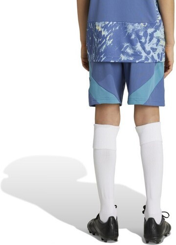 adidas-adidas Enfant Kit Extérieur Ajax 2024-2025-2