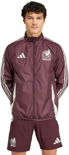 adidas-Veste Pre-Match Mexique Copa América 2024-2