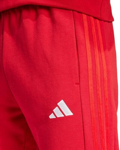 adidas-Pantalon FC Bayern Fanswear 2024-2025-3